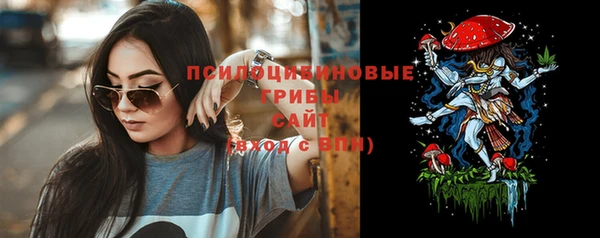 не бодяженный Арсеньев