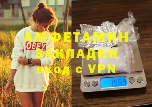 индика Лабытнанги