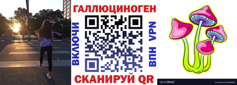 где купить   Пугачёв  Псилоцибиновые грибы Cubensis 